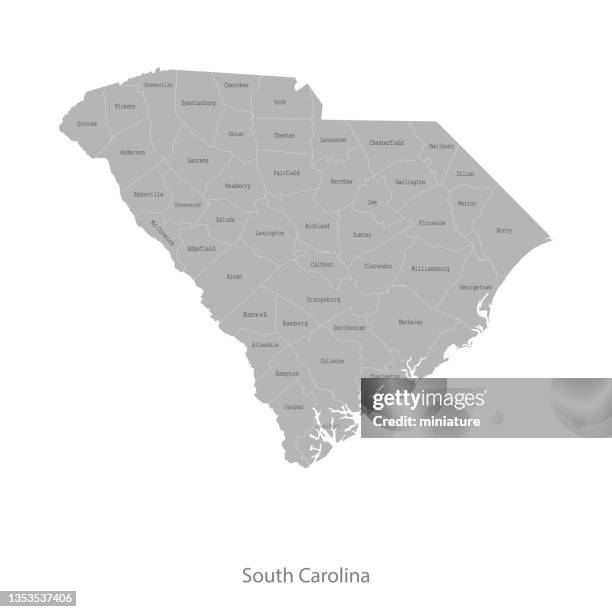 south carolina map - south carolina stock illustrations