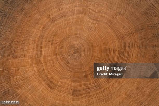 annual tree rings texture of oak tree trunk slice - brown wood stock pictures, royalty-free photos & images