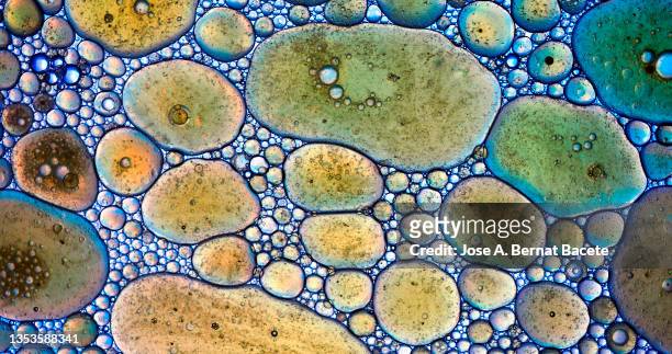 full frame of bubbles and drops of olive oil floating in the water of a saucepan - food contamination stock pictures, royalty-free photos & images