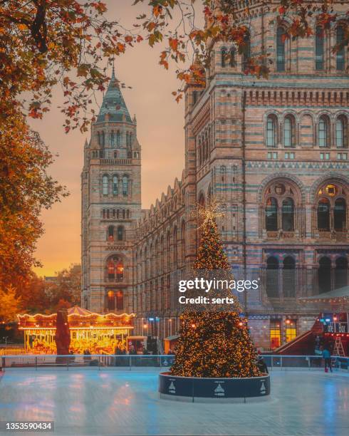 ice skating rink in front of natural history museum in london, uk - natural history museum londen stockfoto's en -beelden