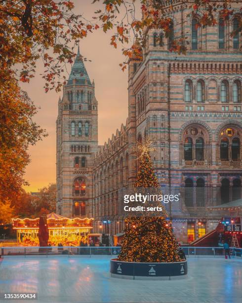ice skating rink in front of natural history museum in london, uk - natural history museum london stock pictures, royalty-free photos & images