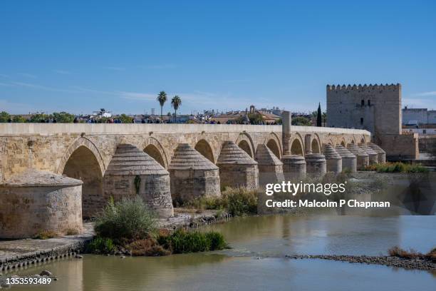 puente romano towards torre de calahorra, cordoba, andalusia - córdoba spanje stockfoto's en -beelden