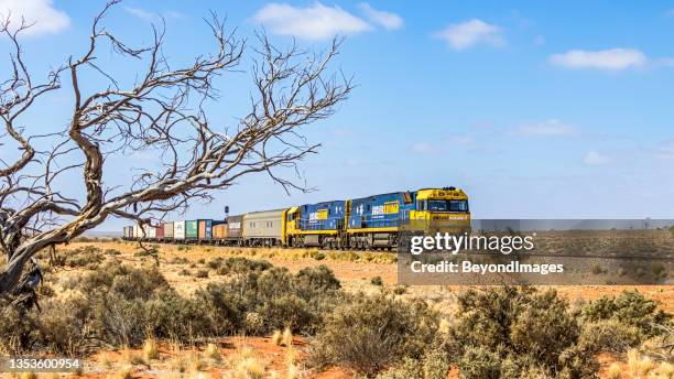 pacific national sydney to perth intermodal rail service with desert tree frame - western australia stock pictures, royalty-free photos & images