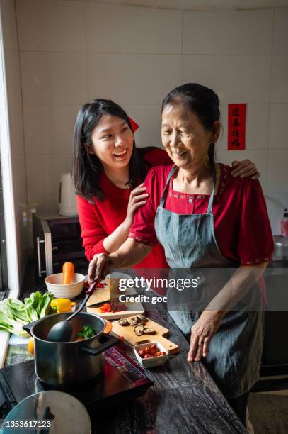 senior asian woman and her daughter preparing food on chinese new year’s eve in the kitchen - 70 79 years 個照片及圖片檔