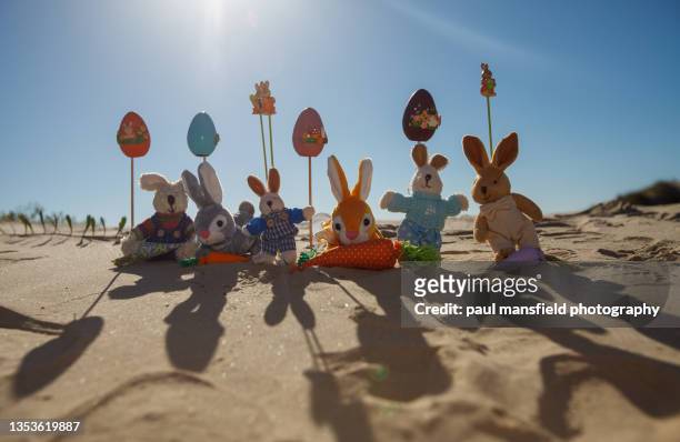 easter bunnies on beach - rabbit beach - fotografias e filmes do acervo