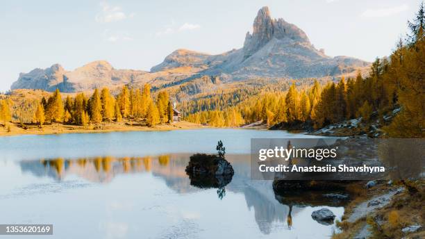 escursionista che soggiorna sulla roccia godendo della vista del lago di riflessione con alberi dorati nelle dolomiti - inviting foto e immagini stock