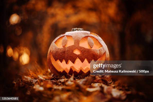 close-up of jack o lantern on field during halloween - scary pumpkin faces stock pictures, royalty-free photos & images