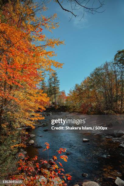 scenic view of lake against sky during autumn,swift river bridge,united states,usa - puente del río swift fotografías e im�ágenes de stock