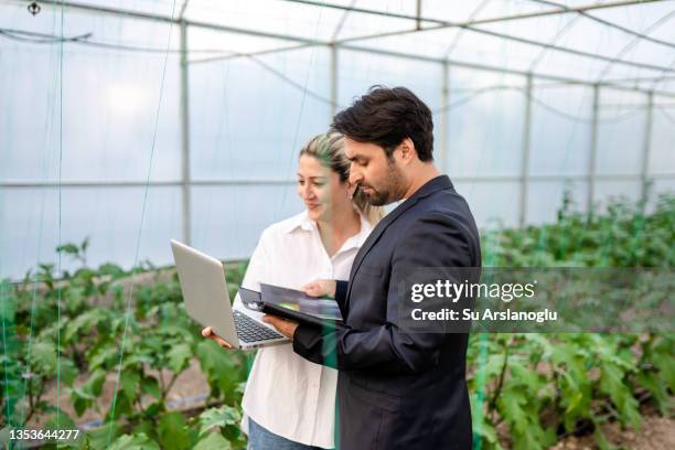 dos jóvenes agricultores modernos que trabajan con una computadora portátil en invernadero y tienen conversaciones comerciales entre sí mientras revisan los cultivos - social responsibility fotografías e imágenes de stock