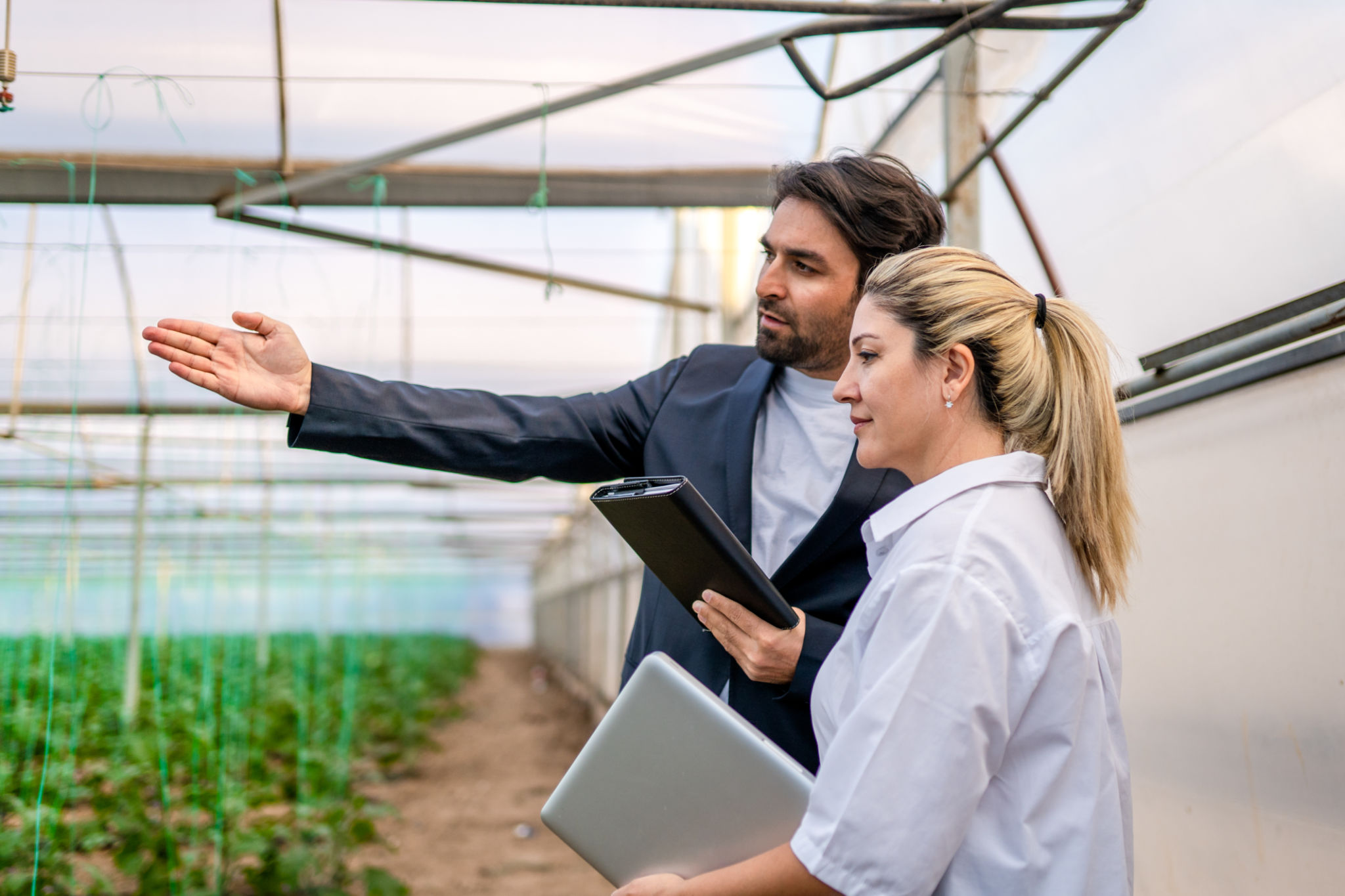 Two young modern farmers working with laptop in greenhouse and having business talk with each other while checking crops Two young modern farmers working with laptop in greenhouse and having business talk with each other while checking crops