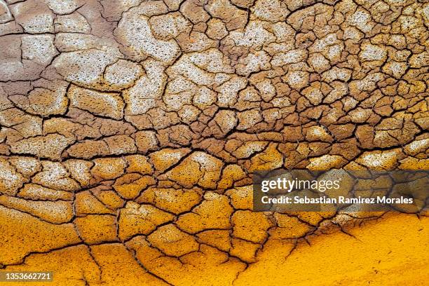 close up of cracked mud, arid ground. - severe weather alert stock pictures, royalty-free photos & images