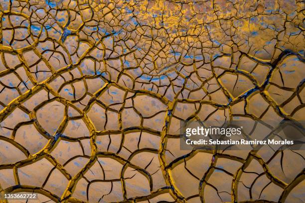 close up of cracked mud, arid ground. - climate change abstract stock pictures, royalty-free photos & images