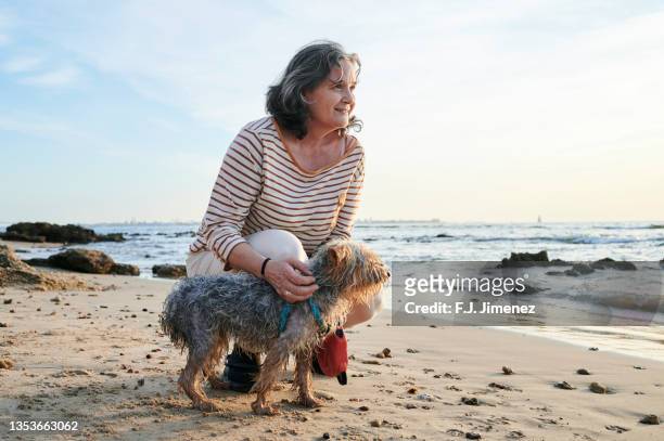 woman with yorkshire dog on the beach at sunset - donna 60 anni foto e immagini stock