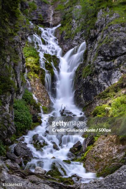 scenic view of waterfall in forest,madonna di campiglio,trento,italy - giuliano rios fotografías e imágenes de stock