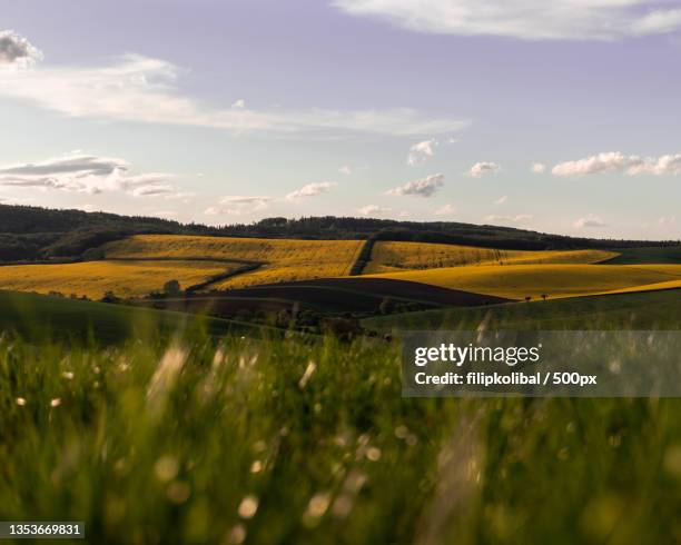 scenic view of field against sky,czech republic - tschechische republik stock-fotos und bilder