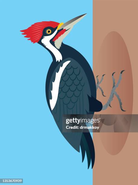 344 Ilustraciones de Pájaro Carpintero - Getty Images 344 Ilustraciones de Pájaro Carpintero - Getty Images