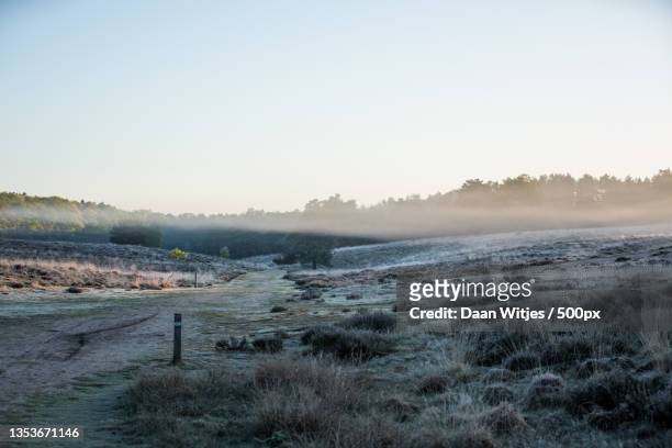 scenic view of landscape against clear sky during winter,ugchelse bos,ugchelen,netherlands - ochtend fotografías e imágenes de stock