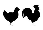 Silhouette of chicken and rooster animal, black contour farm hen. Household bird farm. Vector illustration