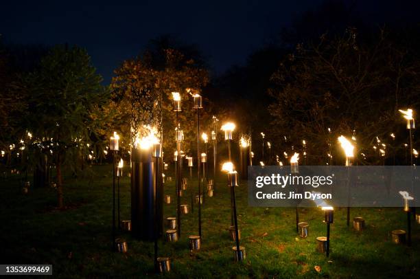 Visitors follow an illuminated trail during a preview for the Christmas at Kew event at Kew Gardens on November 16, 2021 in London, England.