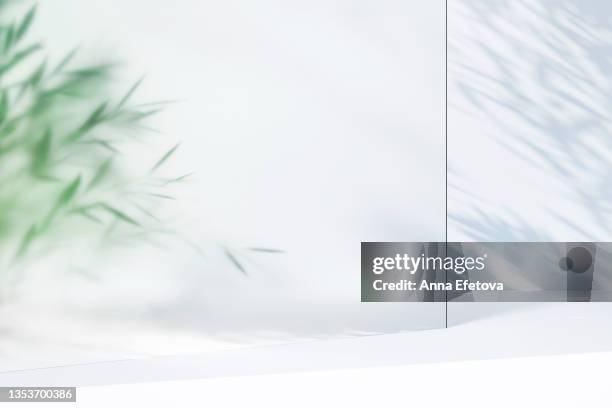 background made of many green plant leaves behind frosted glass and shadows on the white wall. perfect backdrop for showing your products. three dimensional illustration - verre dépoli photos et images de collection