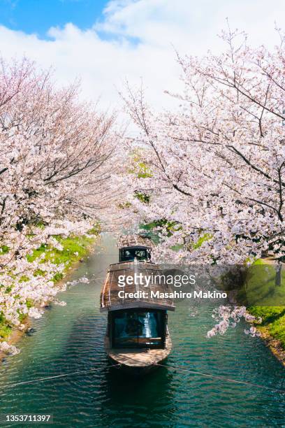 boats tied up on the uji canal in kyoto city - uji quioto imagens e fotografias de stock