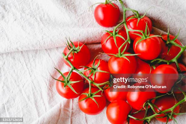 cherry tomatoes - cherry tomato foto e immagini stock