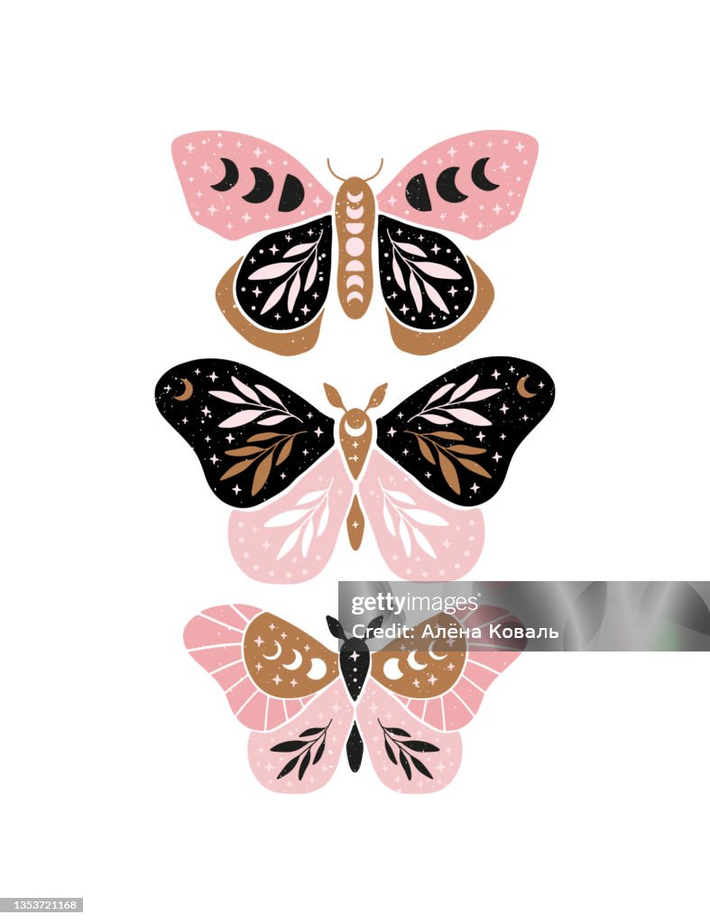 Obraz na plátně Celestial butterfly vector illustration.