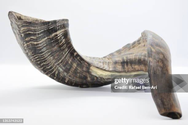 shofar isolated on white background - shofar stock pictures, royalty-free photos & images