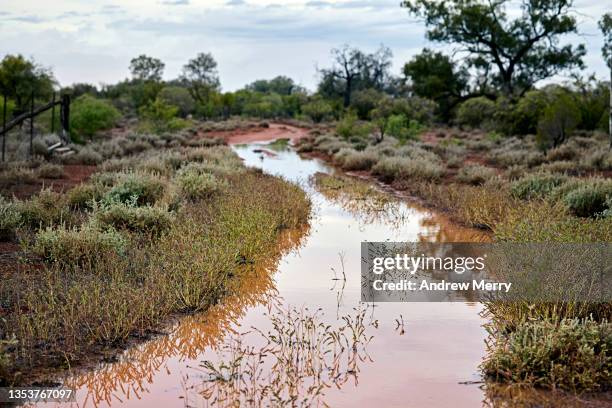 flooded dirt road, mud and water over road, country australia - driving car australia road copy space sunlight travel destinations colour image day getting stock pictures, royalty-free photos & images