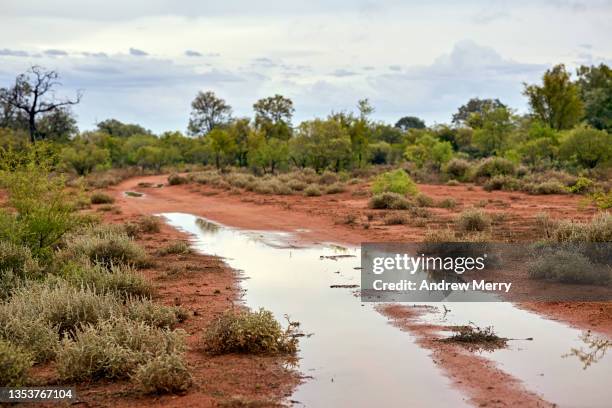 flooded dirt road, mud and water over road, country australia - driving car australia road copy space sunlight travel destinations colour image day getting stock pictures, royalty-free photos & images