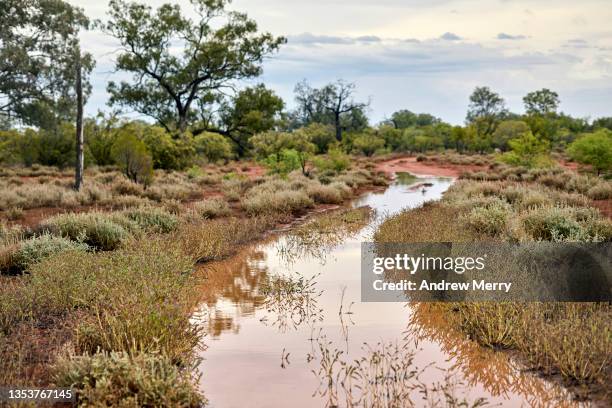 flooded dirt road, mud and water over road, country australia - driving car australia road copy space sunlight travel destinations colour image day getting stock pictures, royalty-free photos & images