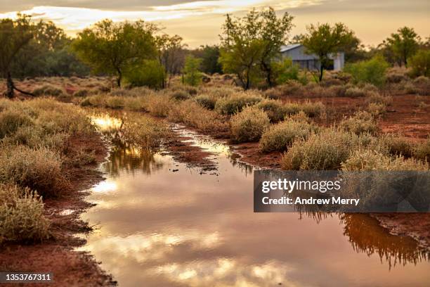 flooded dirt road, mud and water over road, country australia - driving car australia road copy space sunlight travel destinations colour image day getting stock pictures, royalty-free photos & images