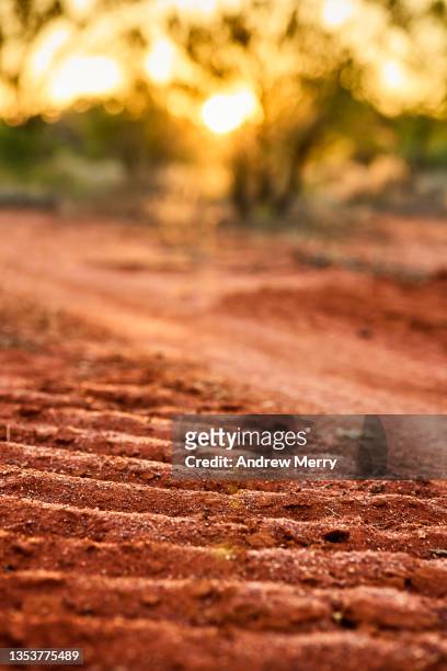 red earth dirt at sunset, tractor track imprint, rural australia - deforestation australia stock pictures, royalty-free photos & images