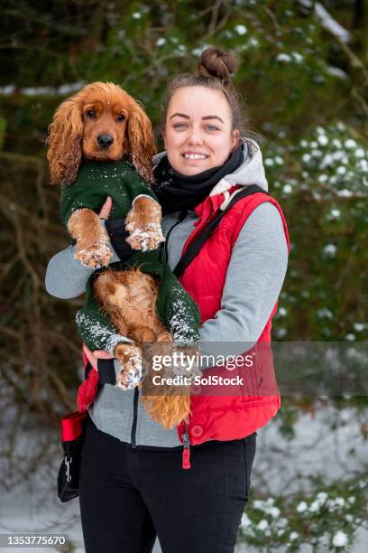 black cocker spaniel teddy bear