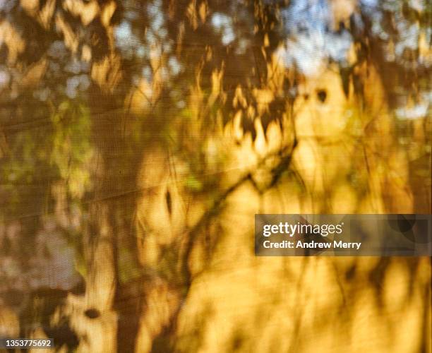 59 Window Screen Texture Stock Photos, High-Res Pictures, and Images ...