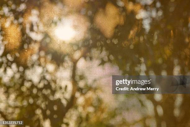 abstract sunlight pattern, tree shadows on window screen - zanzariere foto e immagini stock