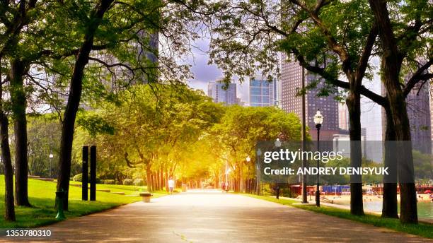 park to sunrise. nature and city - cook county illinois stock-fotos und bilder