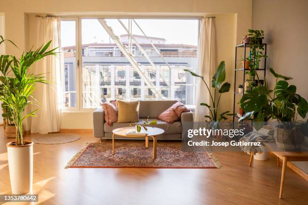 living room at a fashionable loft. wooden floor and furniture. grey cozy sofa, carpet and a lot of plants - huiskamer stockfoto's en -beelden