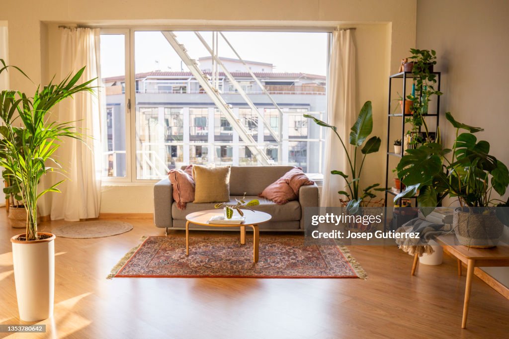Living room at a fashionable loft. Wooden floor and furniture. Grey cozy sofa, carpet and a lot of plants