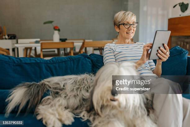 enjoying a day at home with dog - domestic animals stock pictures, royalty-free photos & images