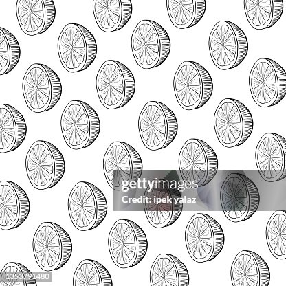 Lemon slices hand drawn pattern. vector illustration Lemon slices hand drawn pattern. vector illustration
