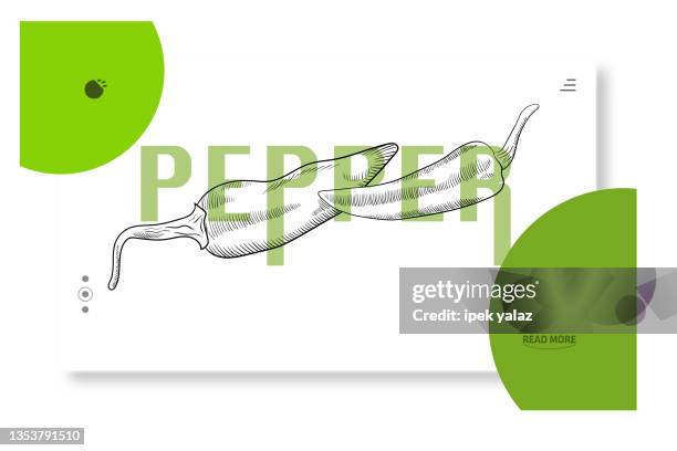 fruit and vegetable design template for brand, label, store, advertisement, poster. doodle design, illustration. - warm kitchen background stock illustrations