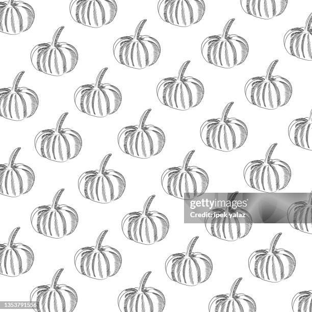 pumpkin slices hand drawn pattern. vector illustration - winter squash in garden stock illustrations