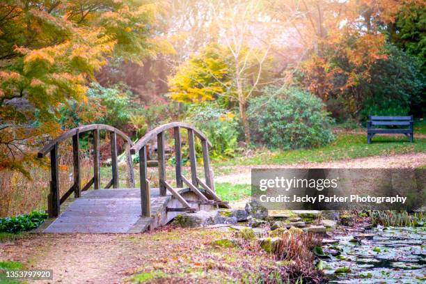 a wooden rustic bridge and path in an english autumn garden with pond - garden bridge stock pictures, royalty-free photos & images