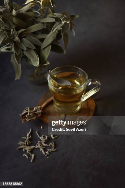 sage tea in glass mug with handle on wooden coaster on black concrete background. there is a fresh sage tea leaf placed on the sage tea. next to the mug is a wooden spoon and dried sage tea spilled on the floor. behind the mug is a vase of fresh sage herb - tea sage stock pictures, royalty-free photos & images