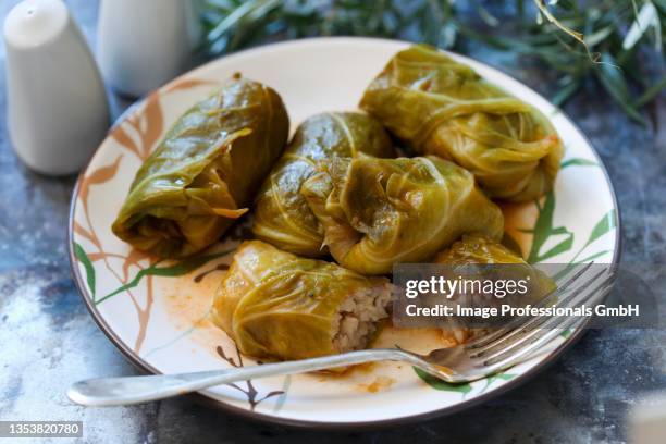 cabbage roulade stuffed with rice and sausage - cabbage roll stock pictures, royalty-free photos & images