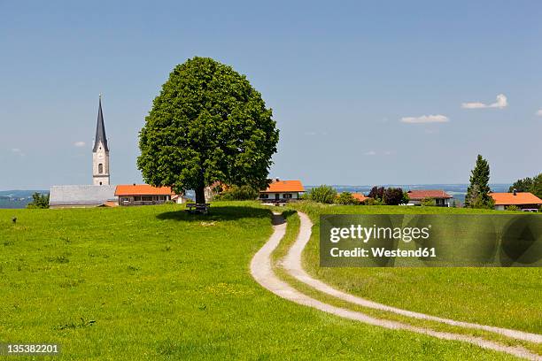 germany, bavaria, irschenberg, view of tilia tree and dirt track with village in background - aguja chapitel fotografías e imágenes de stock