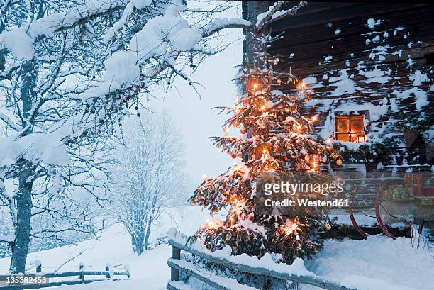 austria, salzburg country, flachau, view of illuminated christmas tree with sleigh in front of alpine hut - x mas snow stock-fotos und bilder