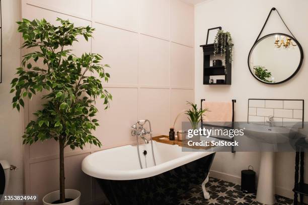 badezimmer mit zimmerpflanzen dekoriert - deko bad stock-fotos und bilder
