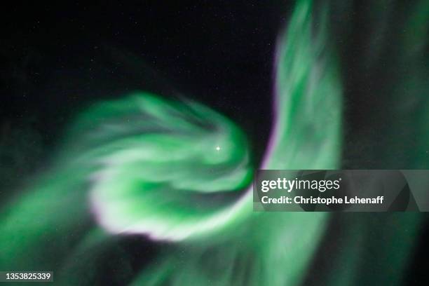 a northern light looking like an animal, iceland - astronomy bird stock pictures, royalty-free photos & images